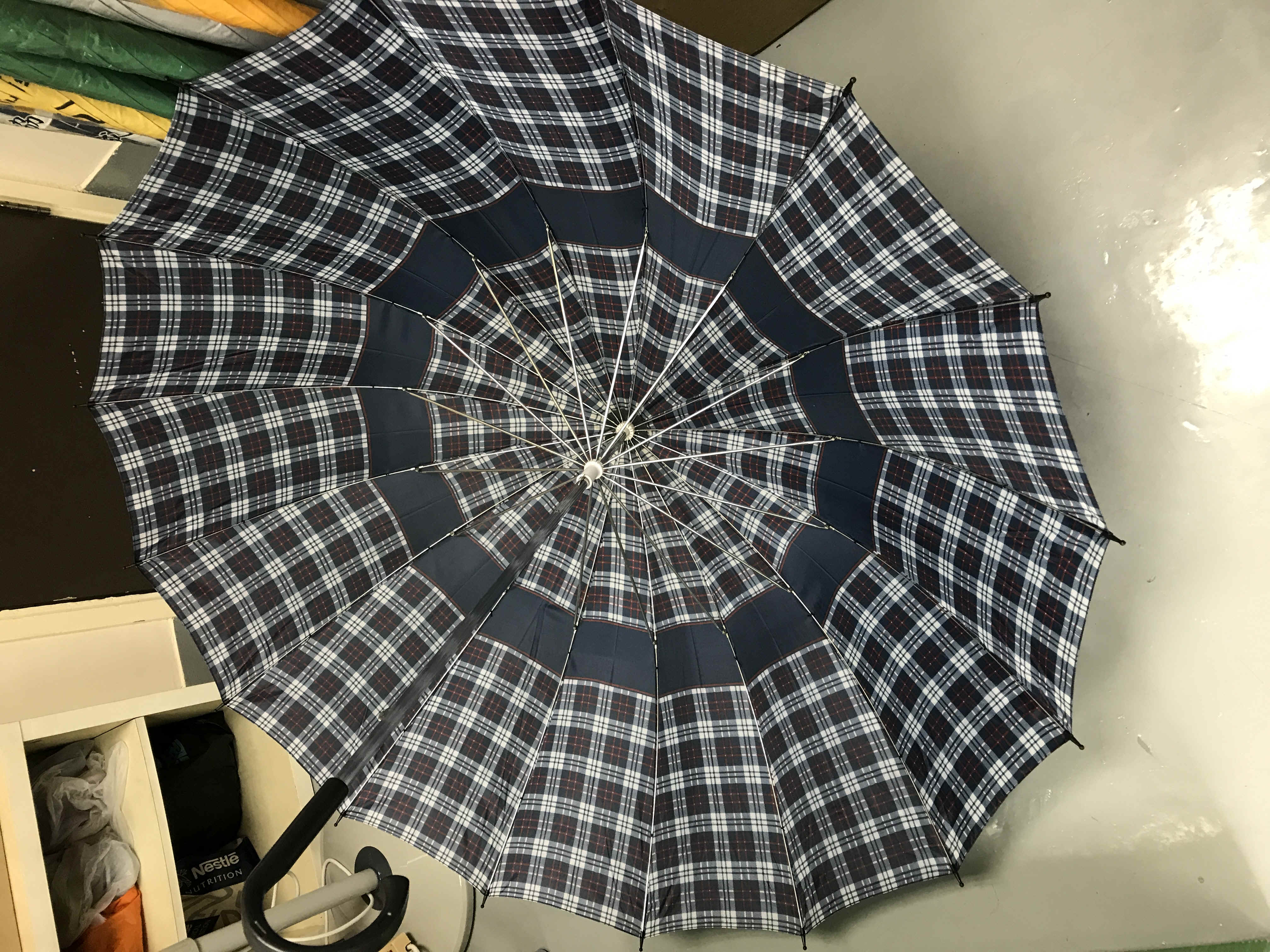 img_5078.jpg (3635298 bytes)