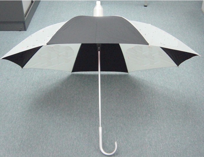 123815-1.JPG (83695 bytes)