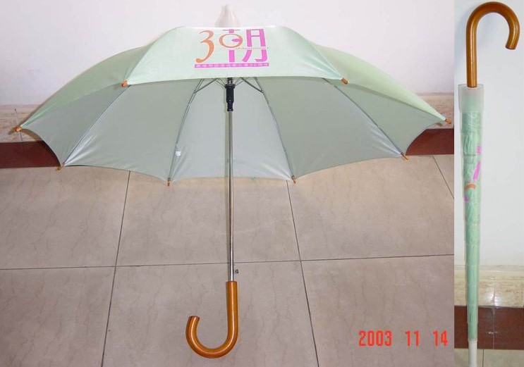 123829-1.JPG (57470 bytes)