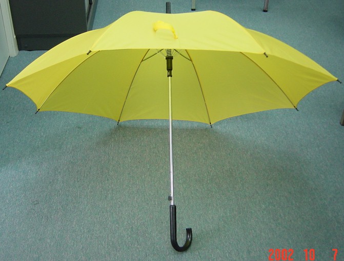 123816-1.jpg (78352 bytes)