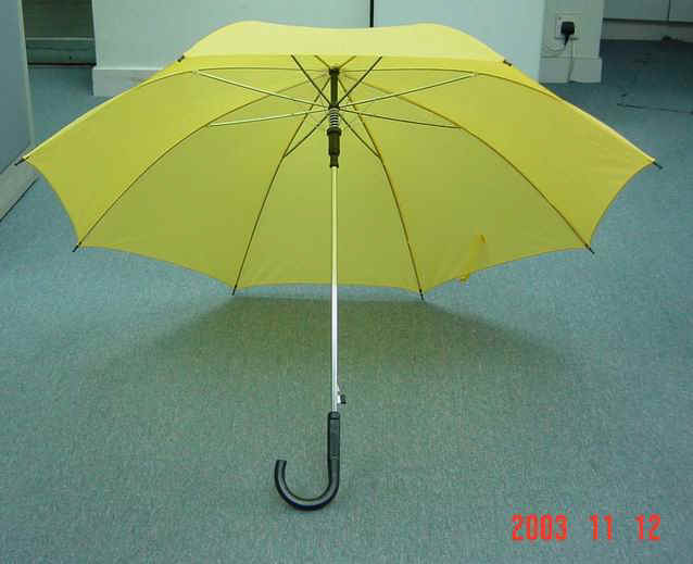 123816-2.JPG (26258 bytes)