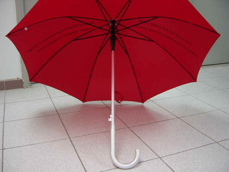 a12301-4.jpg (170526 bytes)