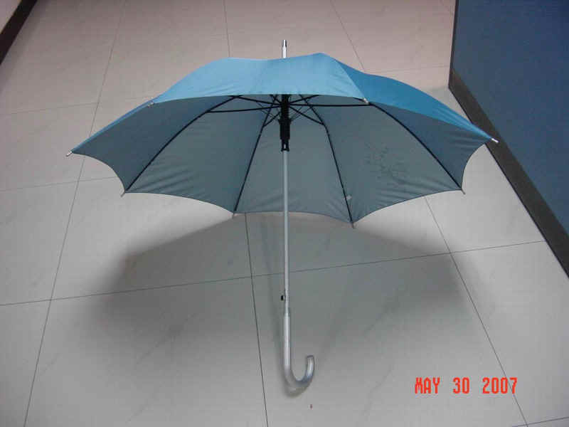 a12304-1.jpg (124355 bytes)