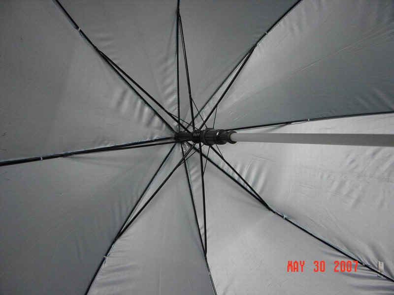 a12304-2.jpg (142985 bytes)