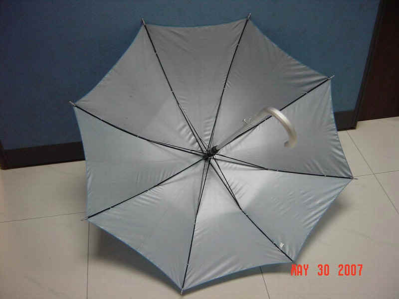 a12304-3.jpg (137478 bytes)