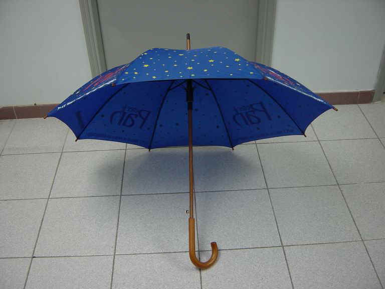 w12301-1.jpg (56379 bytes)