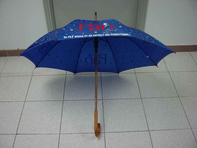 w12301-2.jpg (57514 bytes)