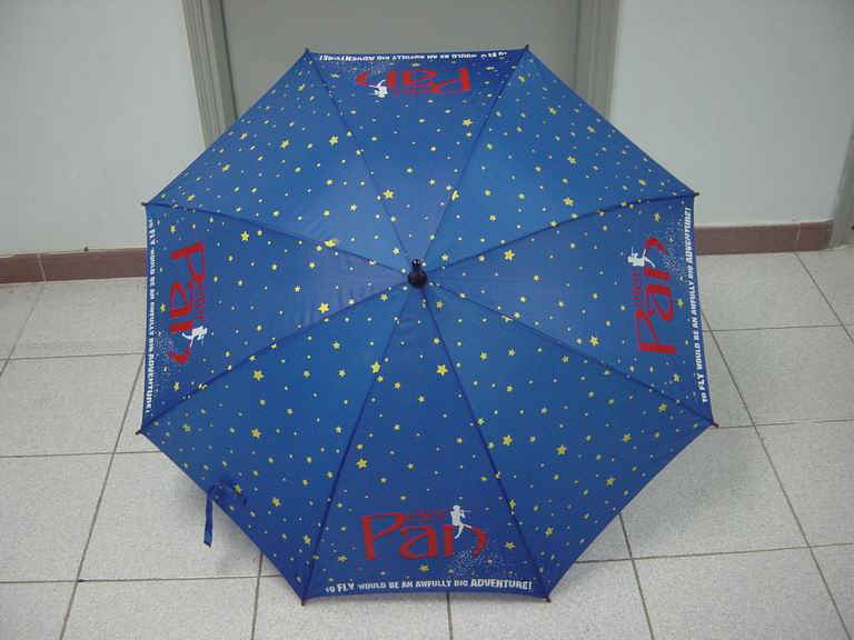 w12301-3.jpg (69401 bytes)