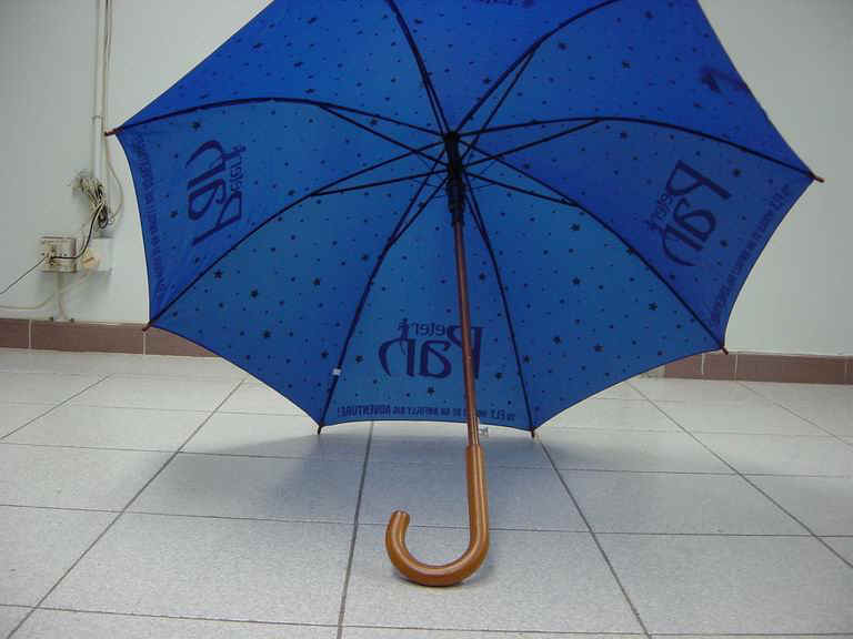 w12301-4.jpg (63144 bytes)