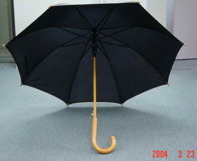 DSC01802_mm.JPG (54273 bytes)