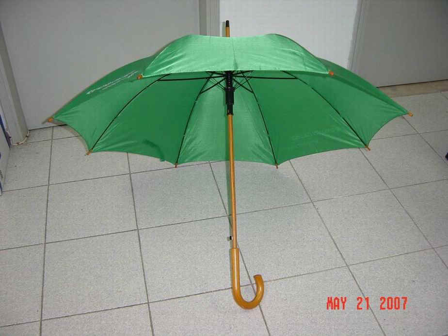 12321-1.jpg (86356 bytes)