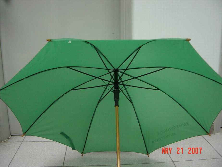 12321-5.jpg (67217 bytes)