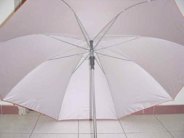 m12706-2.jpg (28861 bytes)