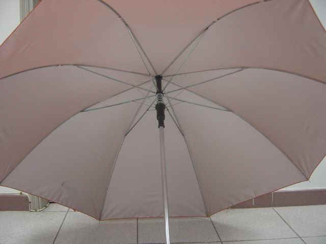 m12706-3.jpg (26886 bytes)