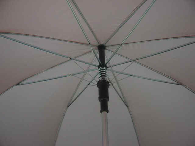 m12706-4.jpg (26090 bytes)