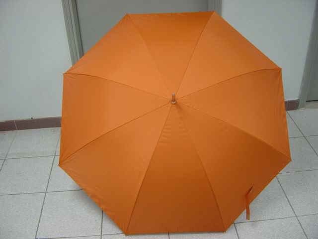 m12706-5.jpg (26394 bytes)