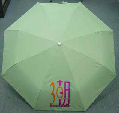 DSC01333-1.JPG (17965 bytes)