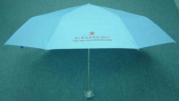 DSC01338.JPG (29158 bytes)