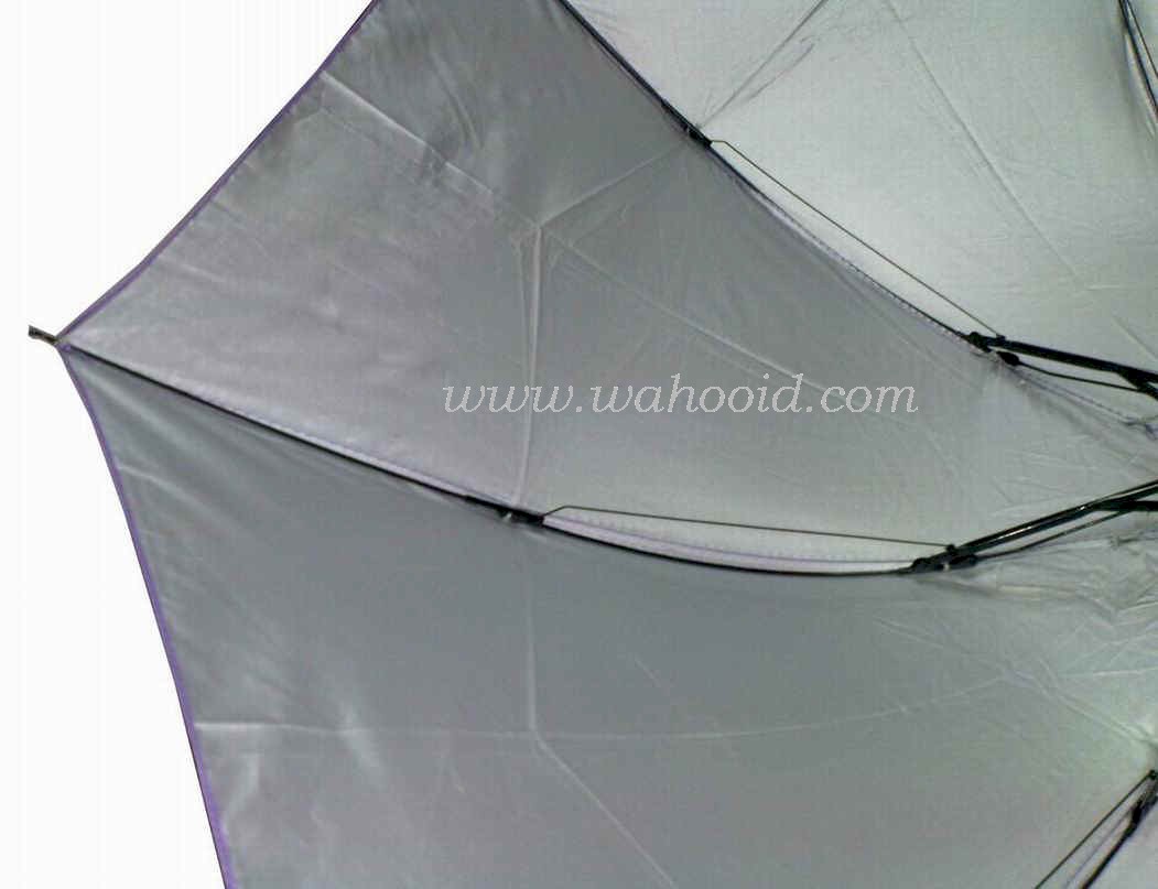 M320502_3.JPG (69953 bytes)