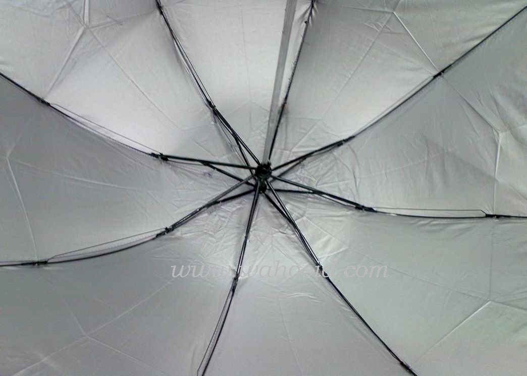 M320502_4.JPG (79353 bytes)