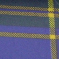 CP-006.jpg (10940 bytes)