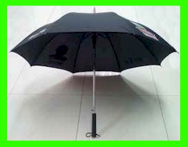 Click to Enlarge / f12501_s.jpg (7025 bytes)