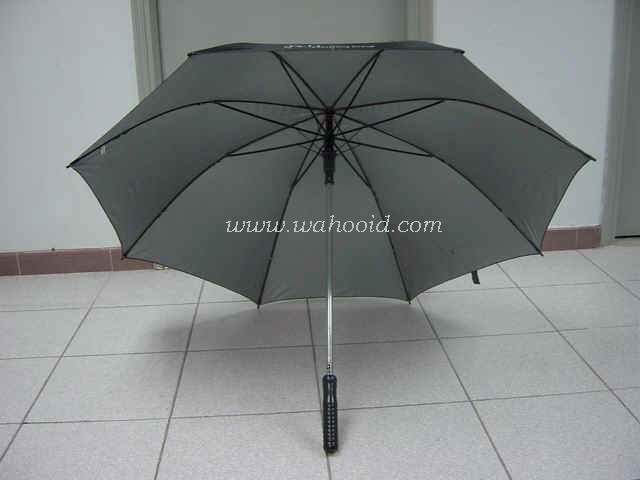 f12502-2.jpg (36433 bytes)