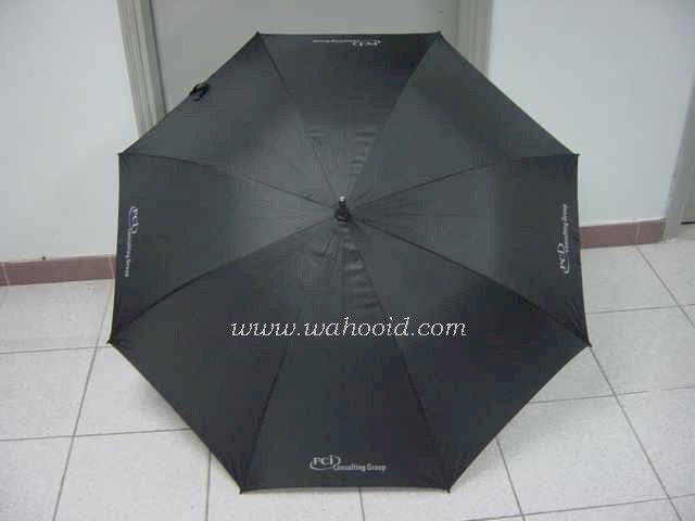 f12502-4.jpg (30949 bytes)