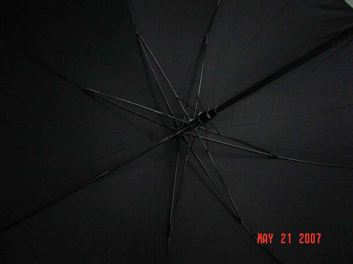 f12702-4.jpg (84624 bytes)