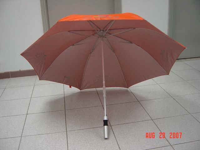 f12705-3.jpg (34958 bytes)