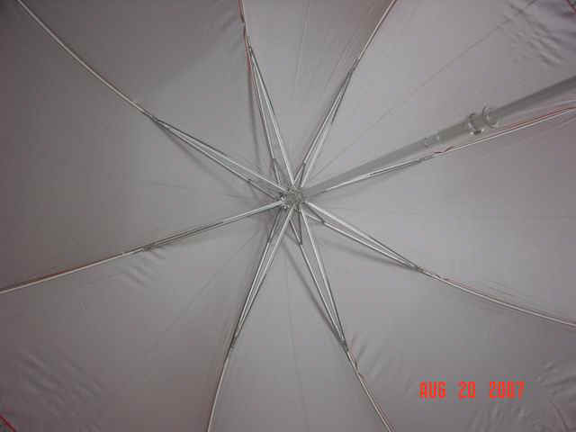 f12705-4.jpg (26441 bytes)