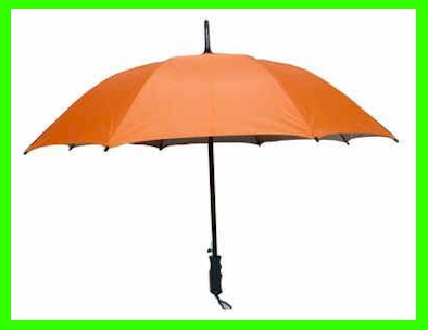 F238K01_s.jpg (14114 bytes)