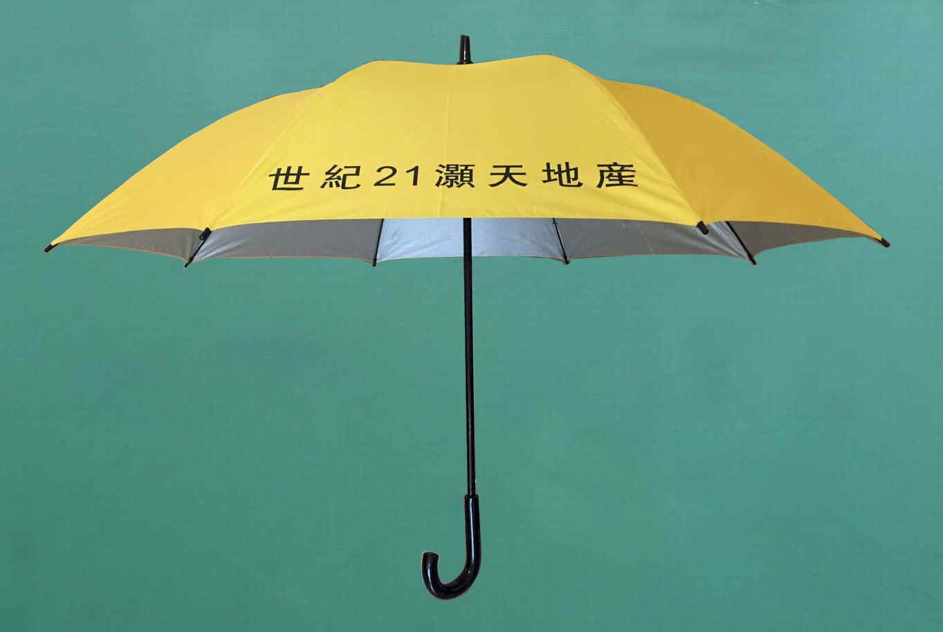 F27x8K-01_1.jpg (150696 bytes)