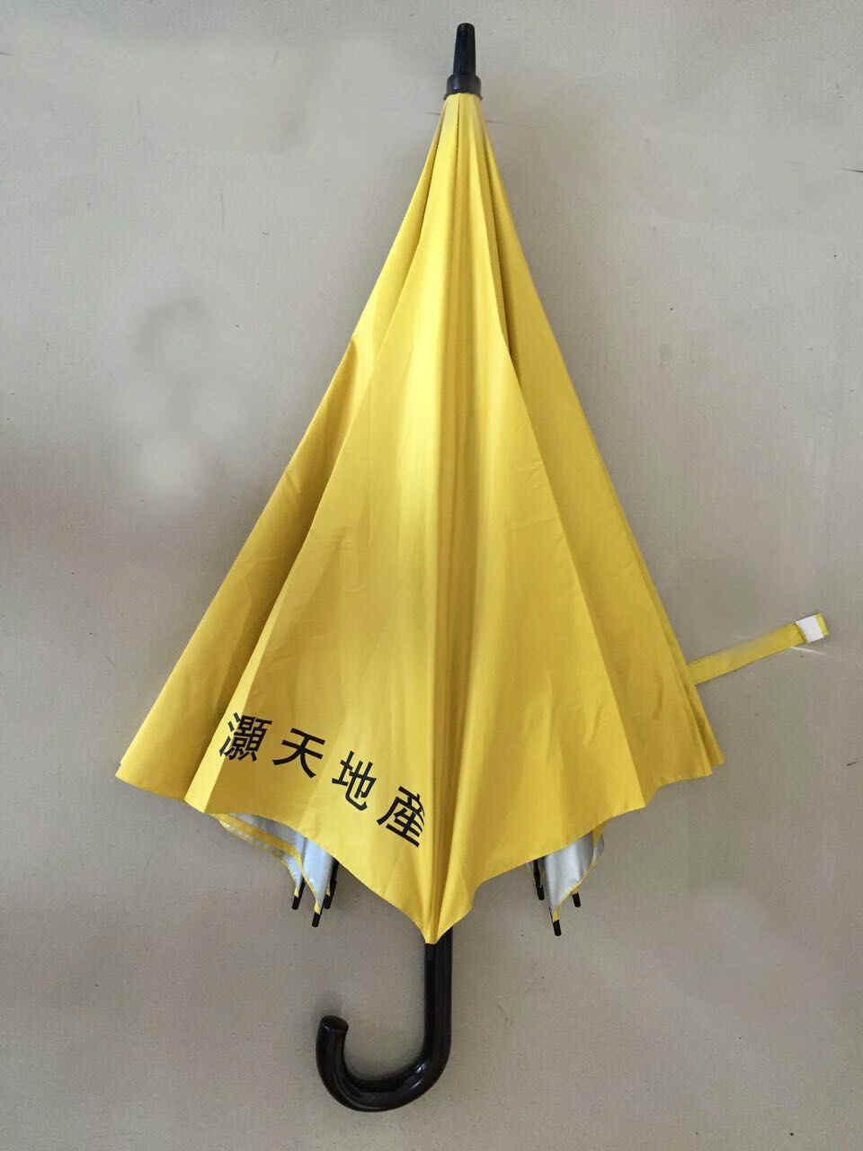 F27x8K-01_5.jpg (162765 bytes)