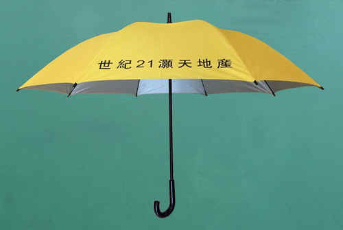 F27x8K-01_s.jpg (34444 bytes)