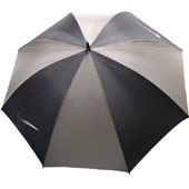 418.jpg (9257 bytes)