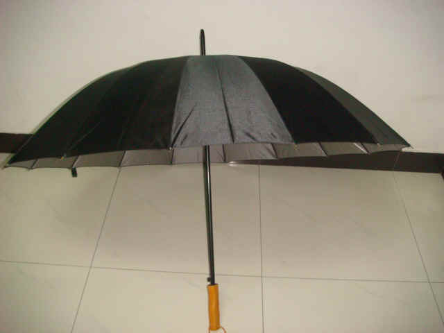 gf-27x16K-auto-01_1.JPG (74543 bytes)