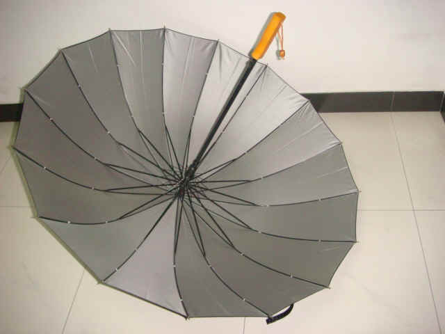 gf-27x16K-auto-01_2.JPG (86127 bytes)