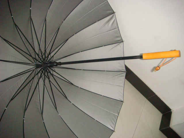 gf-27x16K-auto-01_3.JPG (89863 bytes)