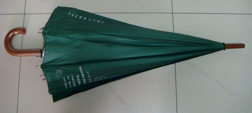 gf-27x16K-auto-02_2.JPG (70063 bytes)