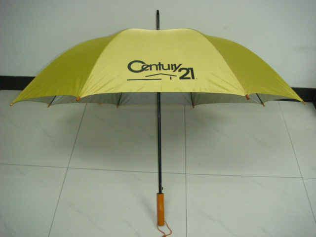 gf-27x8K-auto-01.JPG (72971 bytes)