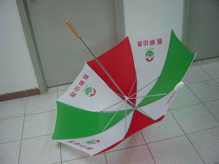 gf-29x8kx2-02_4.JPG (51334 bytes)