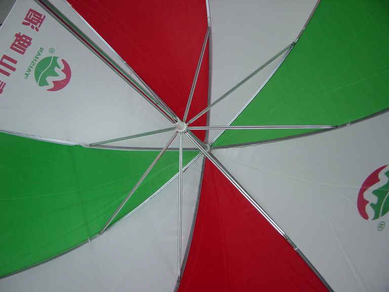 gf-29x8kx2-02_5.JPG (44968 bytes)