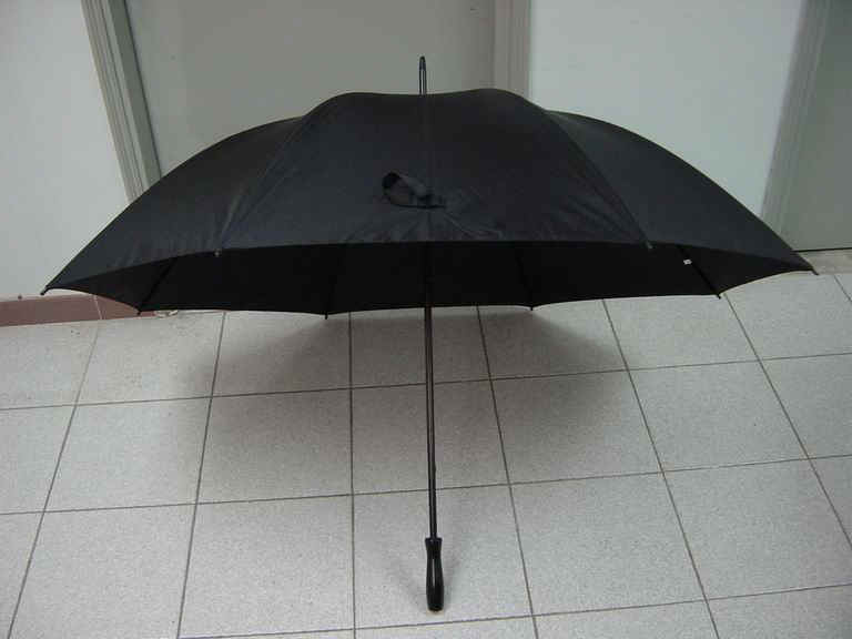 gf-30x8Kx2-02_1.JPG (51600 bytes)