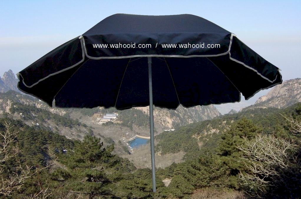 3408b_1.jpg (36484 bytes)