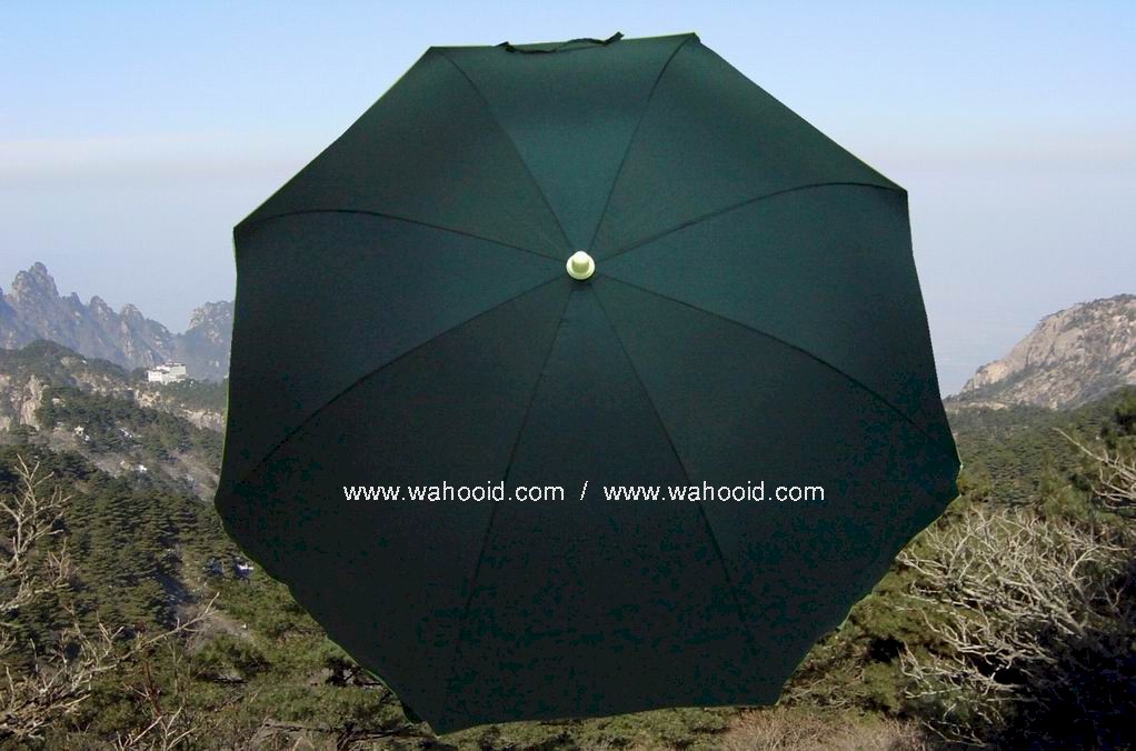 3408b_3.jpg (30249 bytes)