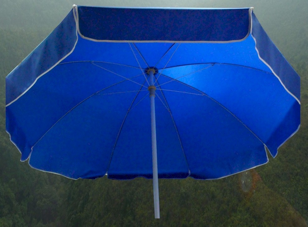 4208_1.jpg (137284 bytes)