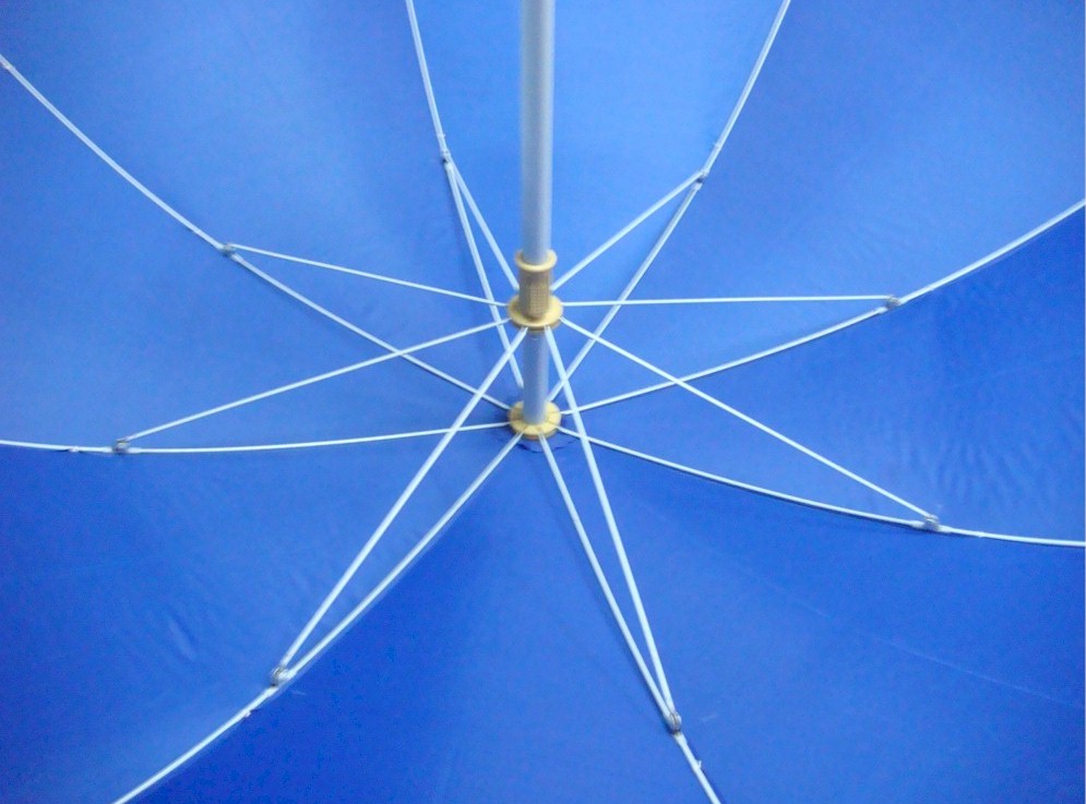 4208_2.JPG (133871 bytes)