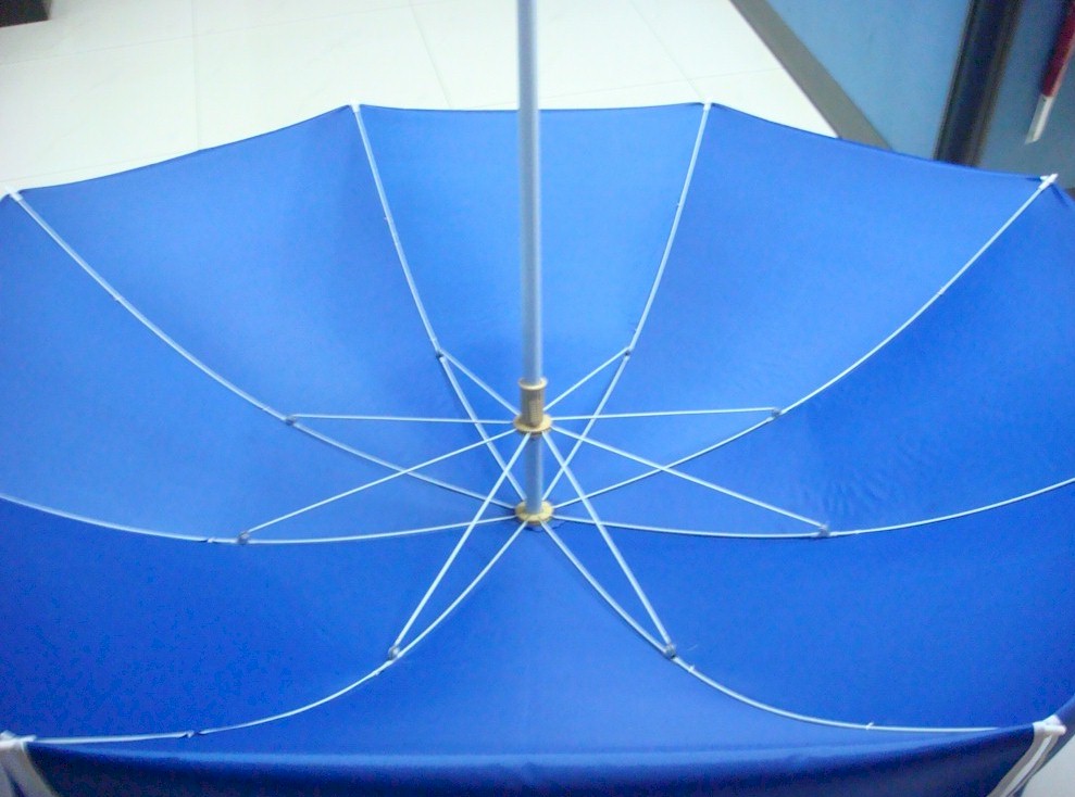 4208_3.JPG (130094 bytes)