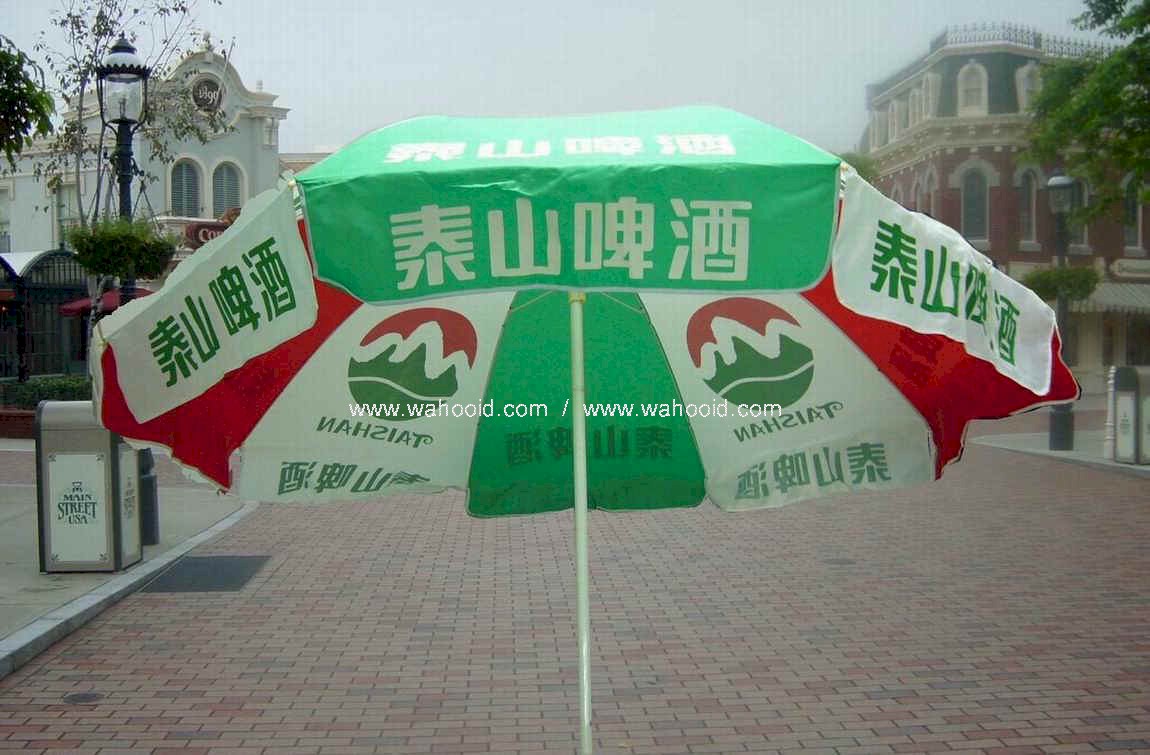 4808mc.jpg (133952 bytes)